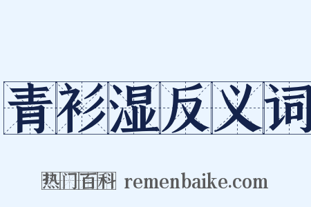 青衫湿反义词是什么意思的图片